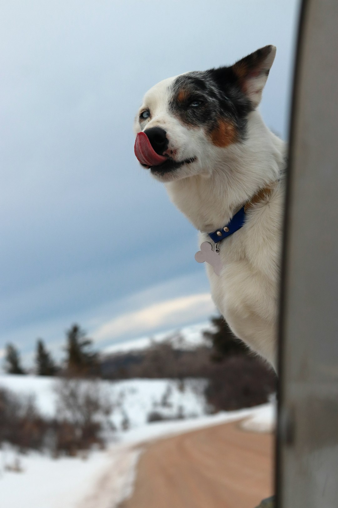 Newfoundland